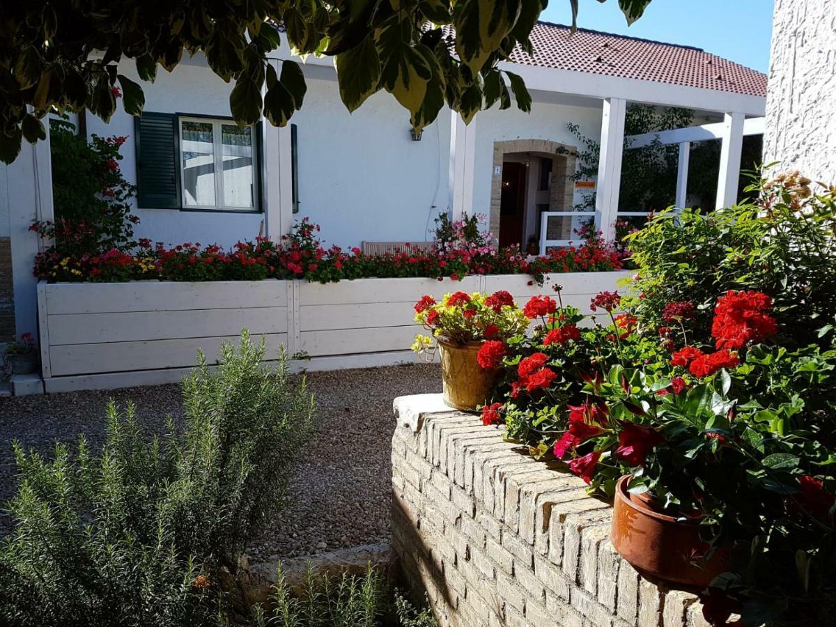 Séjour à la ferme Masseria Mascitelli Orta Nova